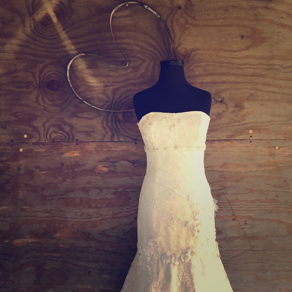 🆕 Davinci trumpet gown